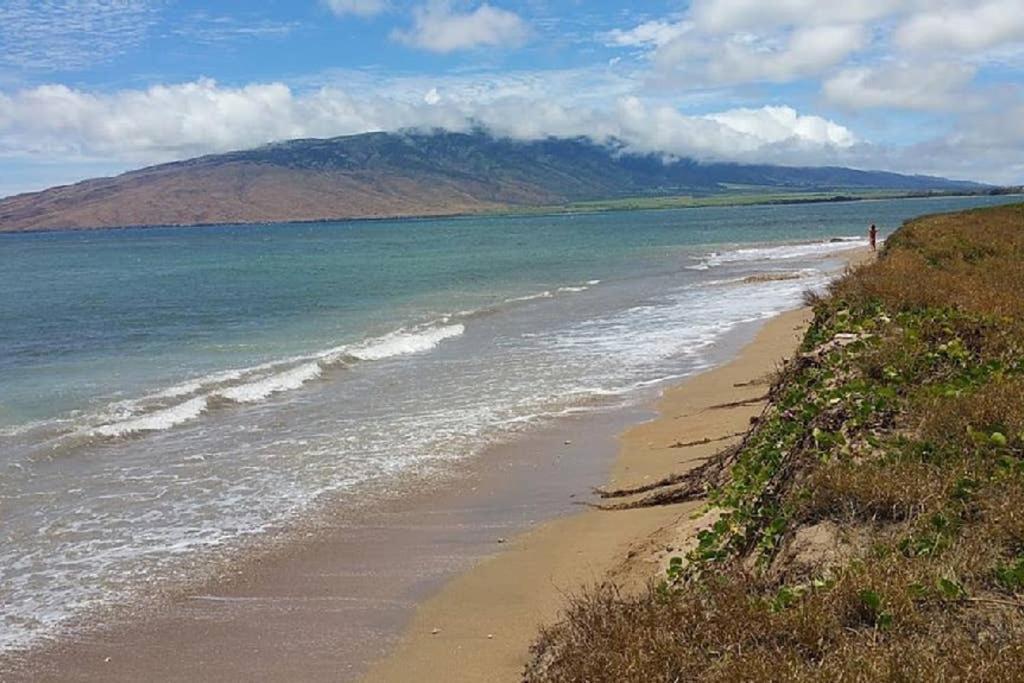 Oceanfront Penthouse With Amazing Views At Kauhale Makai Apartment Kihei Luaran gambar