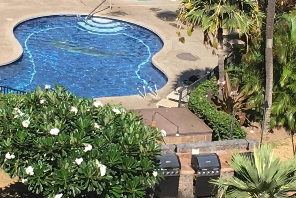 Oceanfront Penthouse With Amazing Views At Kauhale Makai Apartment Kihei Luaran gambar